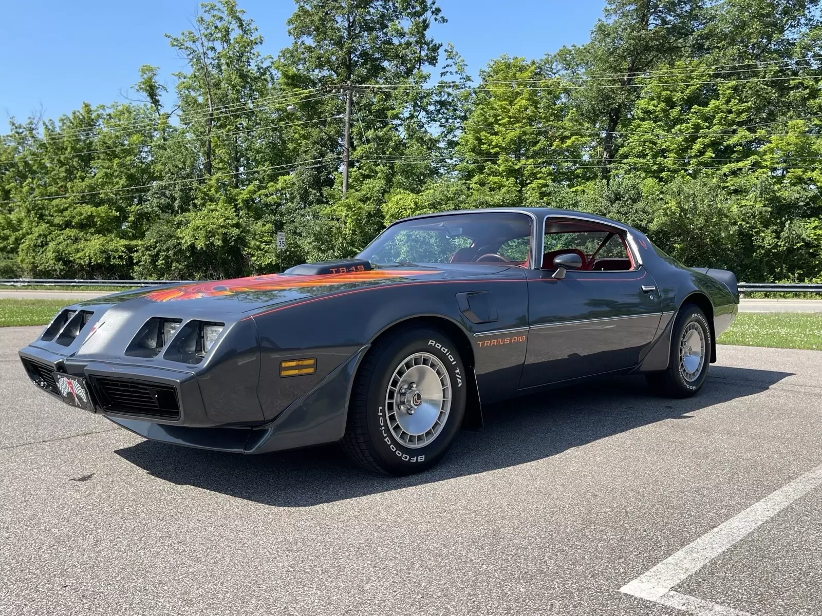 1981 Pontiac Firebird TRANS AM - photo 3