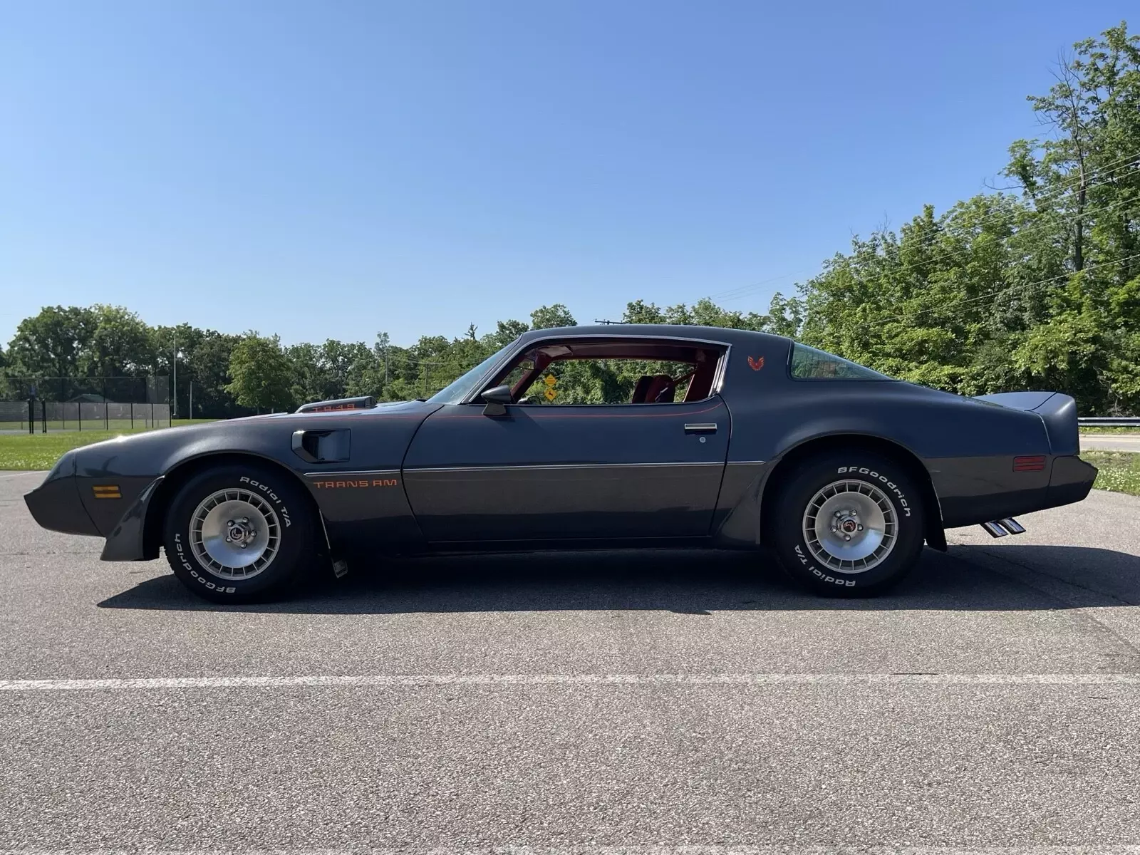 1981 Pontiac Firebird TRANS AM - photo 5