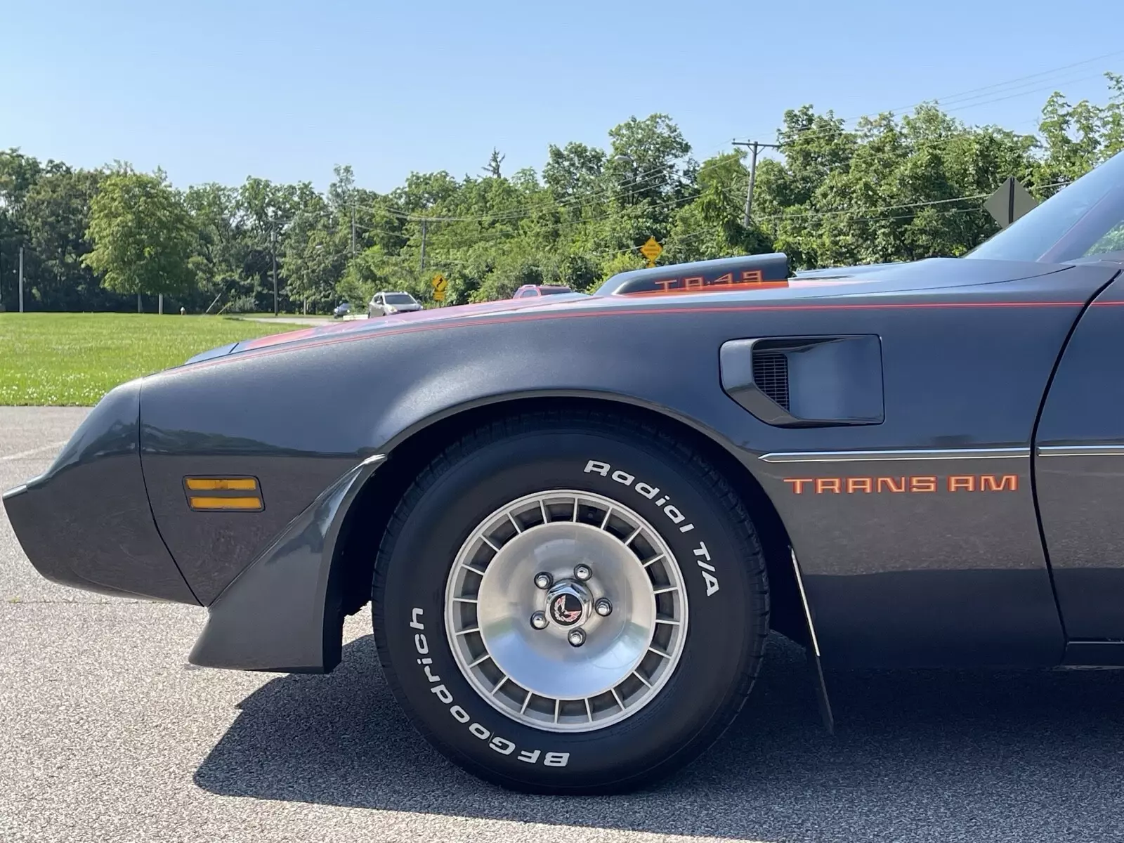1981 Pontiac Firebird TRANS AM - photo 6
