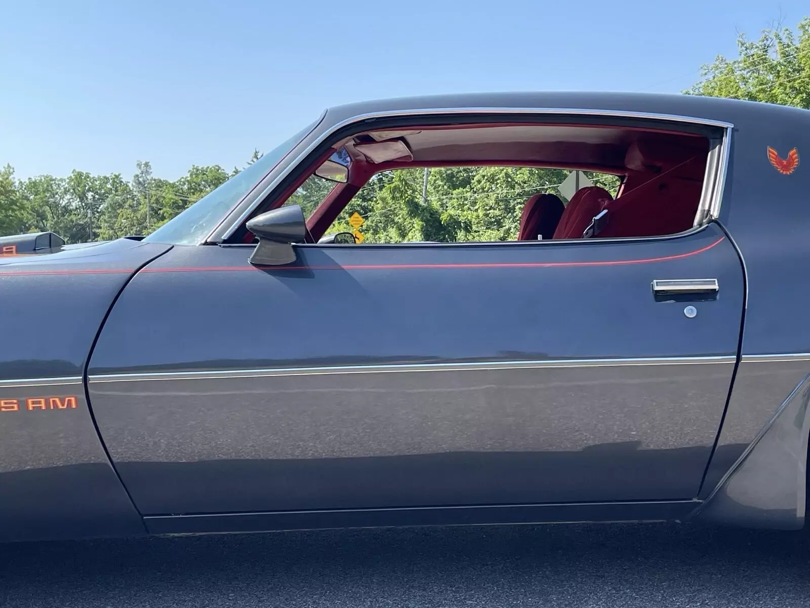 1981 Pontiac Firebird TRANS AM - photo 7