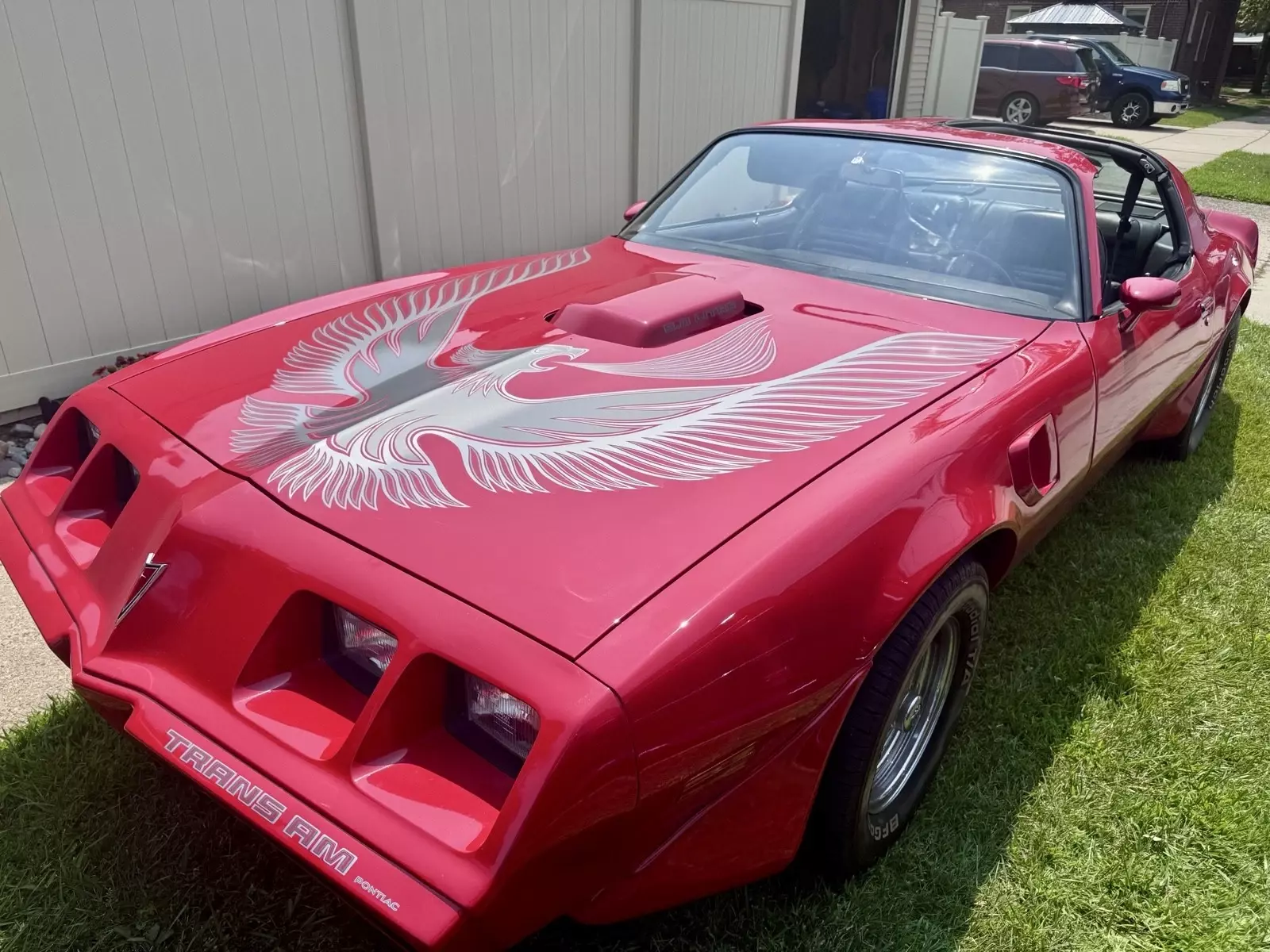 1981 Pontiac Firebird TRANS AM