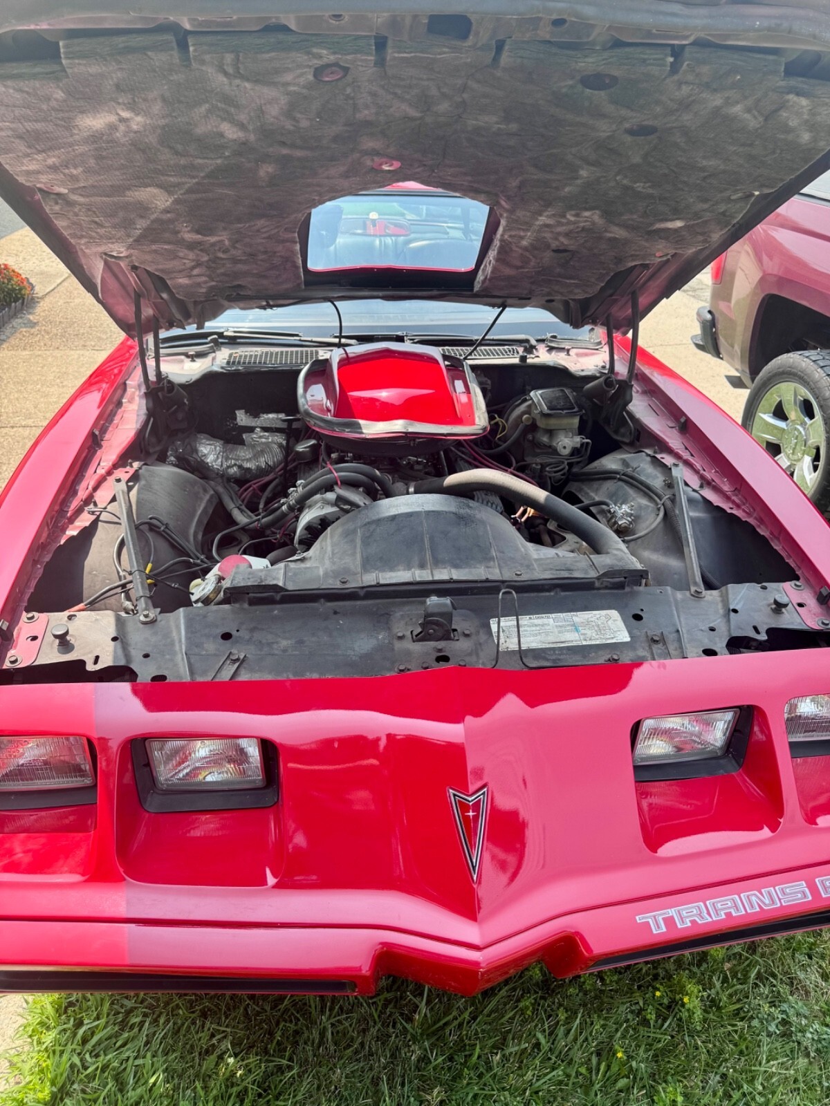 1981 Pontiac Firebird TRANS AM - photo 13