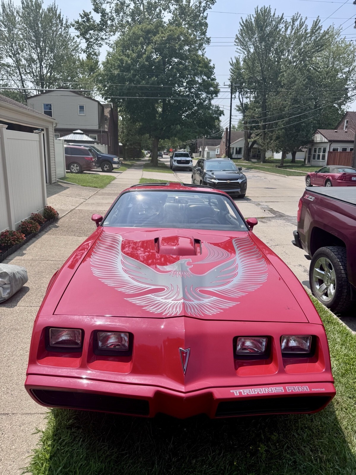 1981 Pontiac Firebird TRANS AM - photo 2