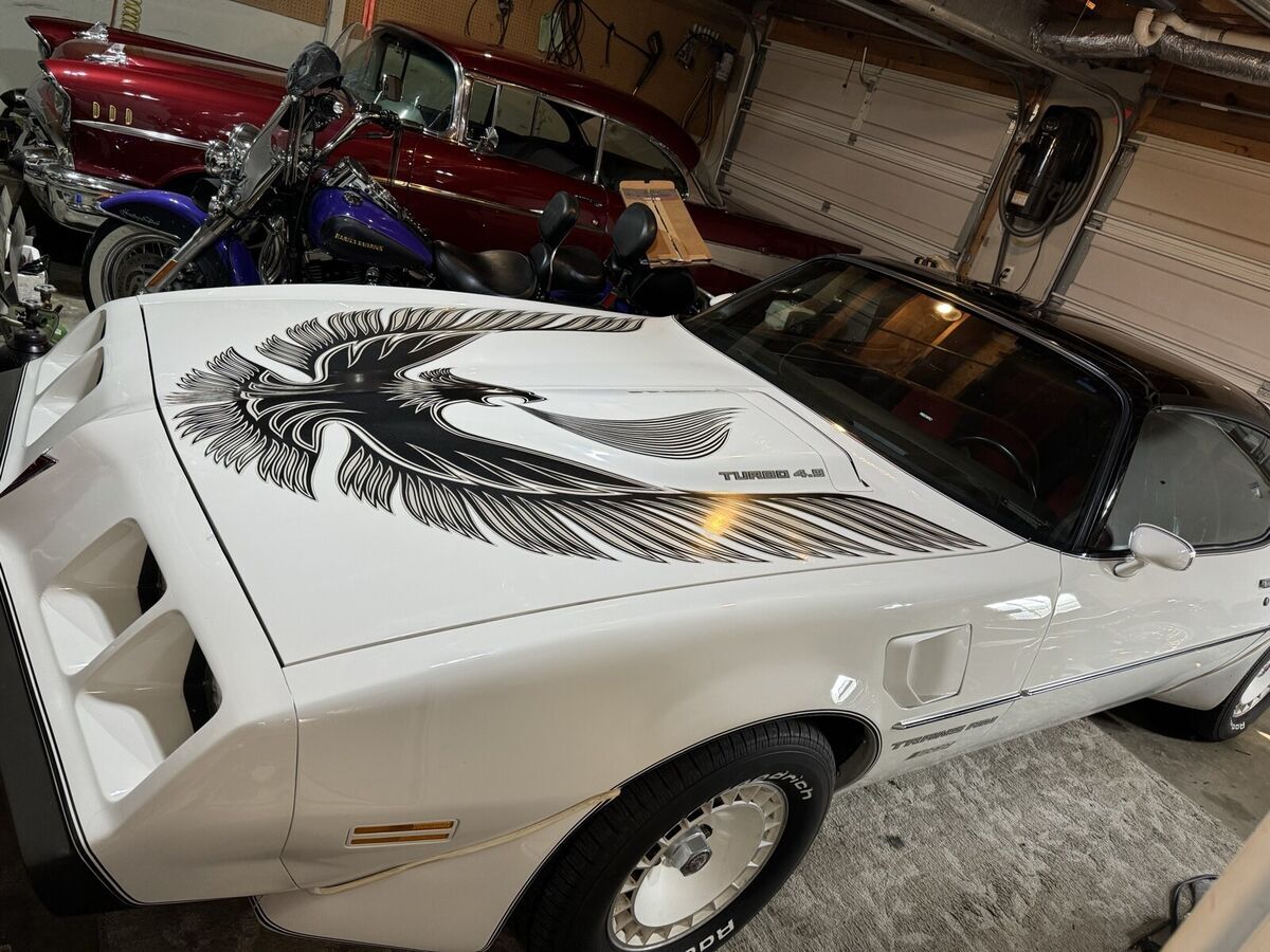 1981 Pontiac Firebird FIREBIRD/TRANS AM NASCAR EDITION - photo 11