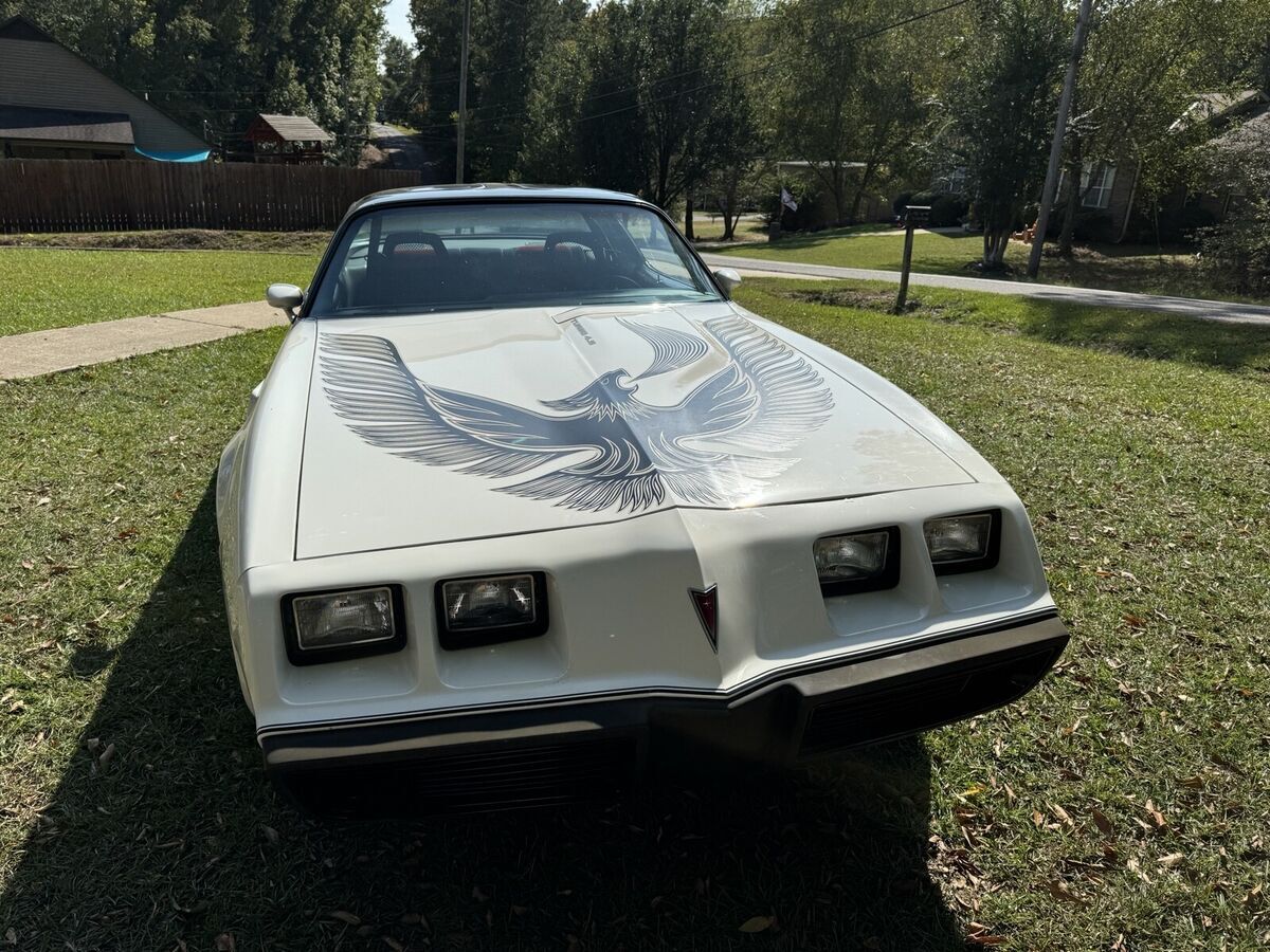 1981 Pontiac Firebird FIREBIRD/TRANS AM NASCAR EDITION - photo 2