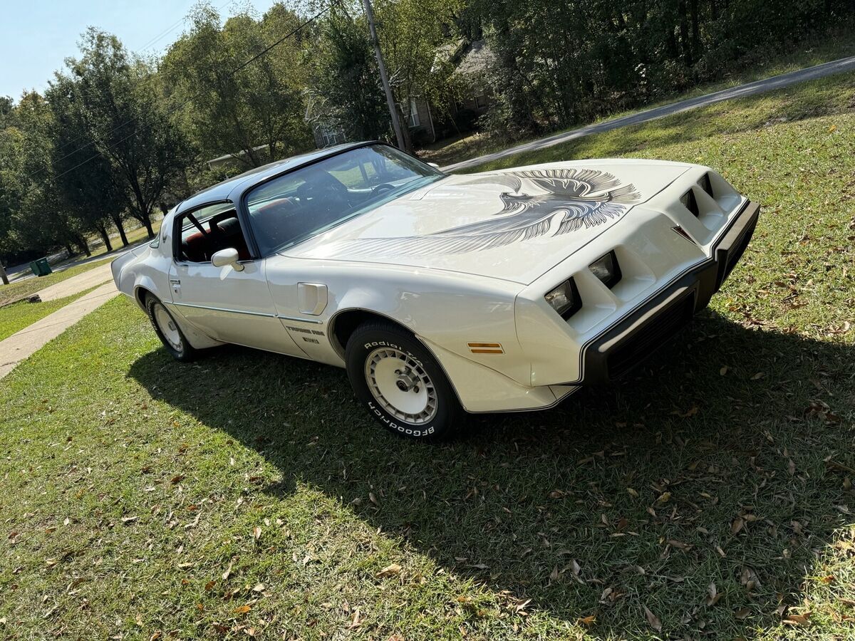 1981 Pontiac Firebird FIREBIRD/TRANS AM NASCAR EDITION - photo 3