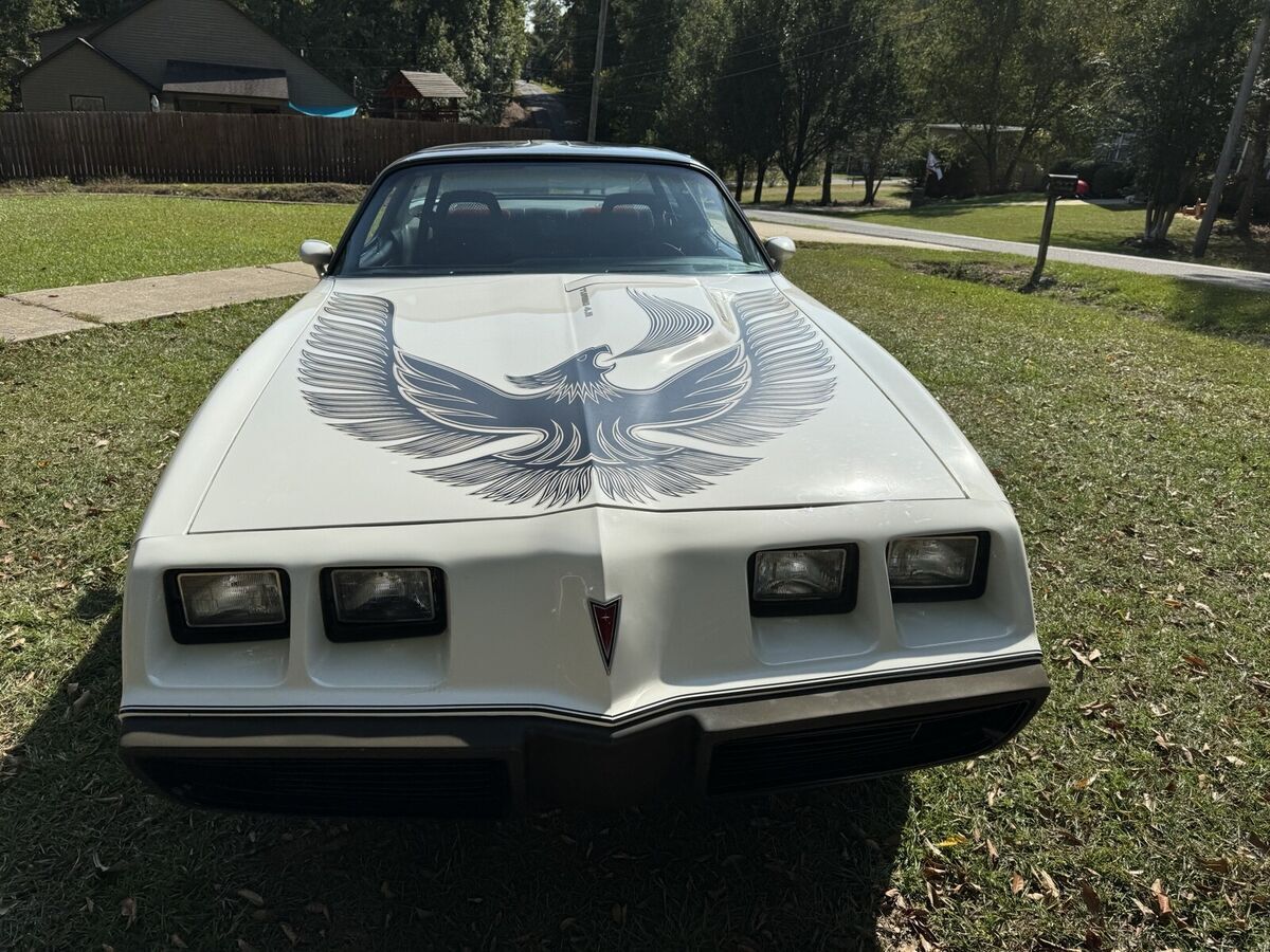 1981 Pontiac Firebird FIREBIRD/TRANS AM NASCAR EDITION - photo 6