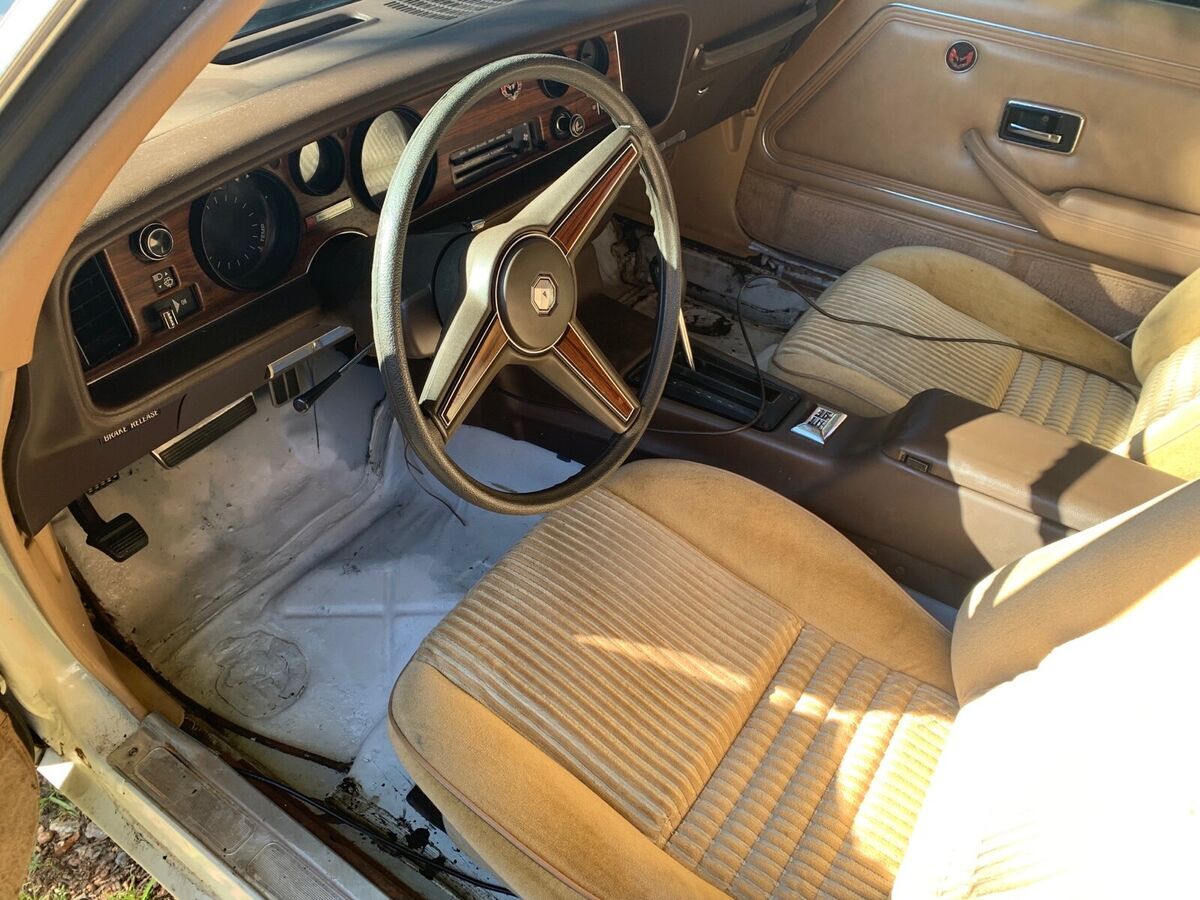 1981 Pontiac Firebird ESPRIT - photo 10