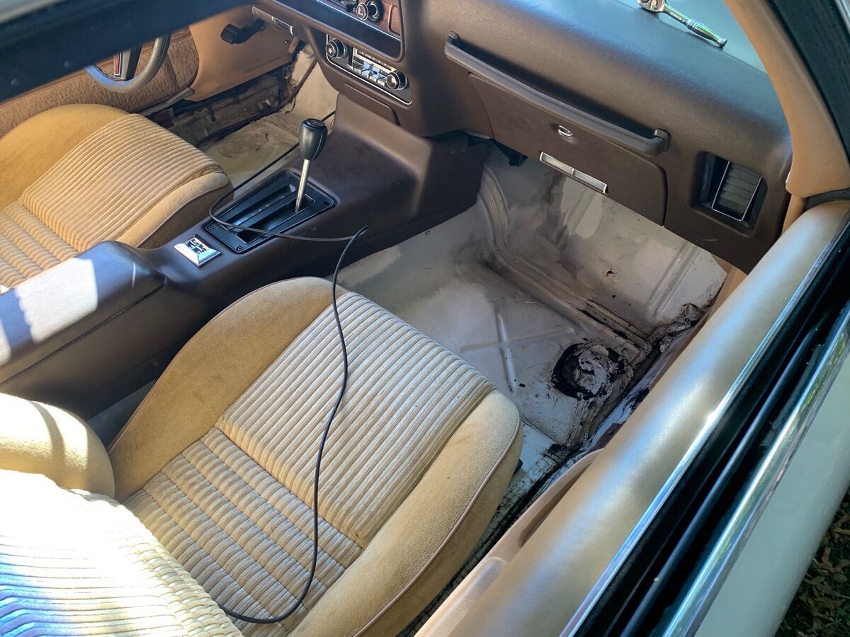 1981 Pontiac Firebird ESPRIT - photo 11