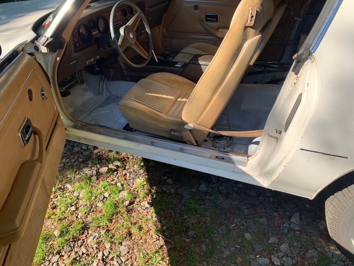 1981 Pontiac Firebird ESPRIT - photo 12