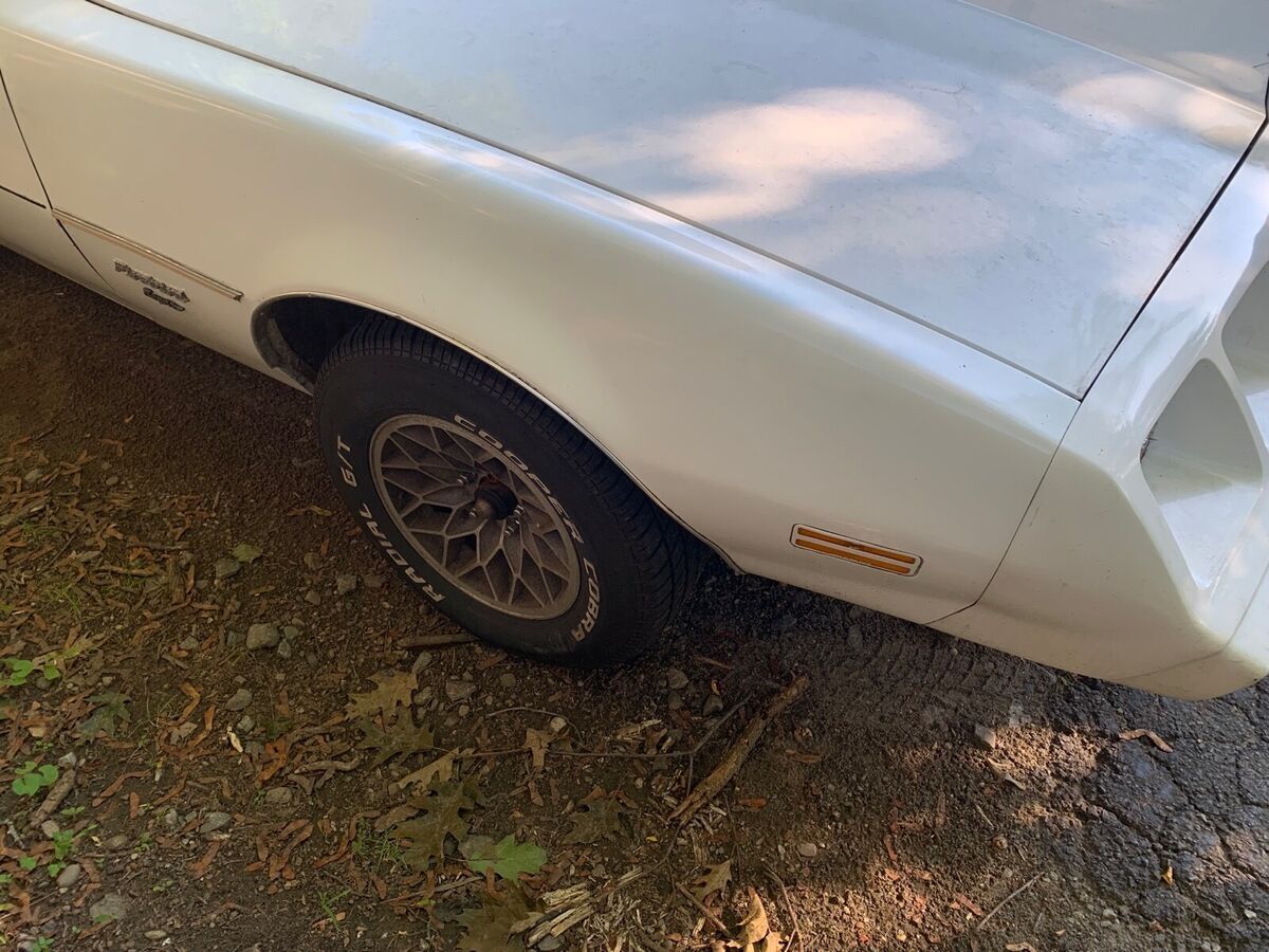 1981 Pontiac Firebird ESPRIT - photo 2
