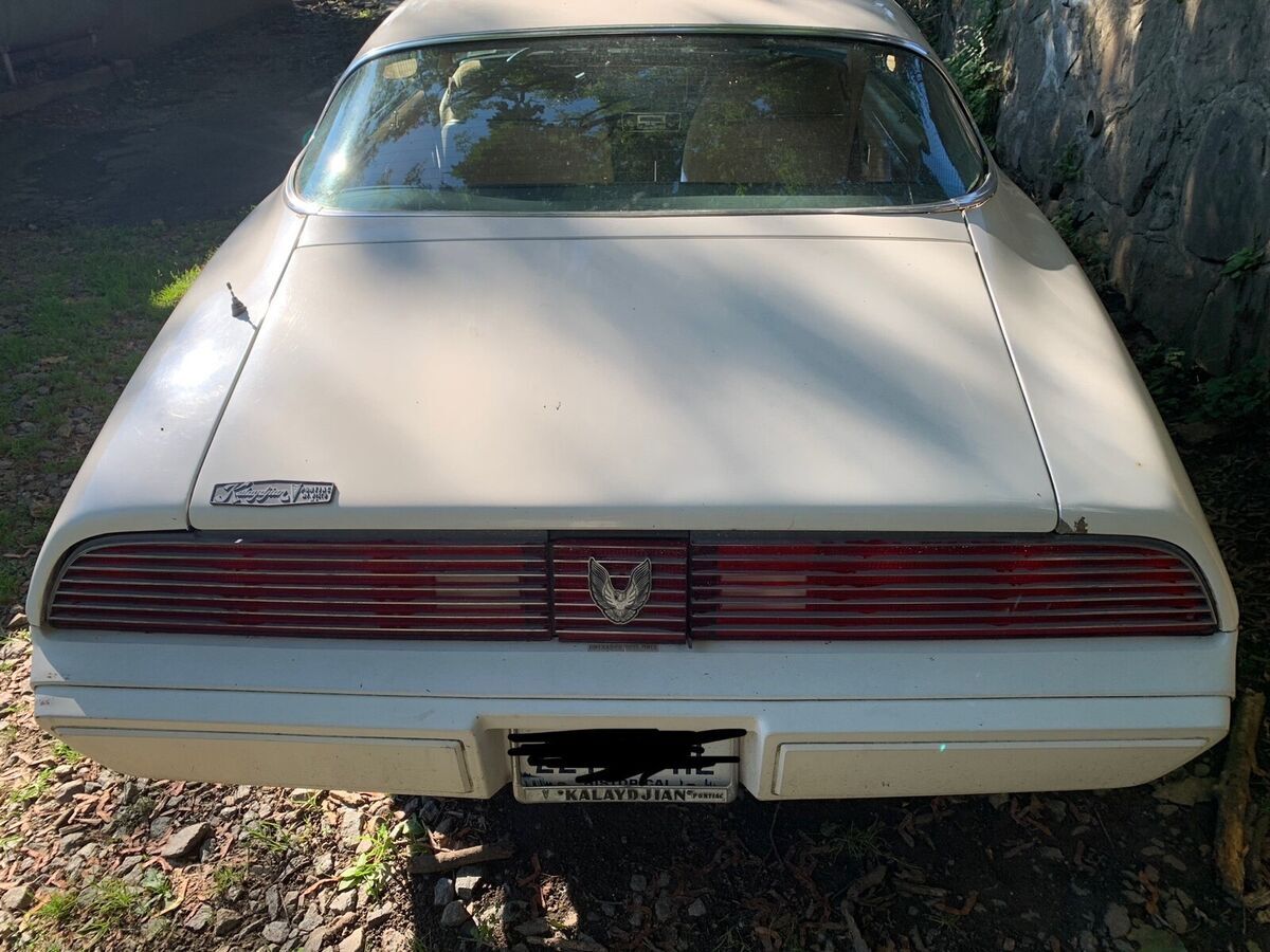 1981 Pontiac Firebird ESPRIT - photo 3
