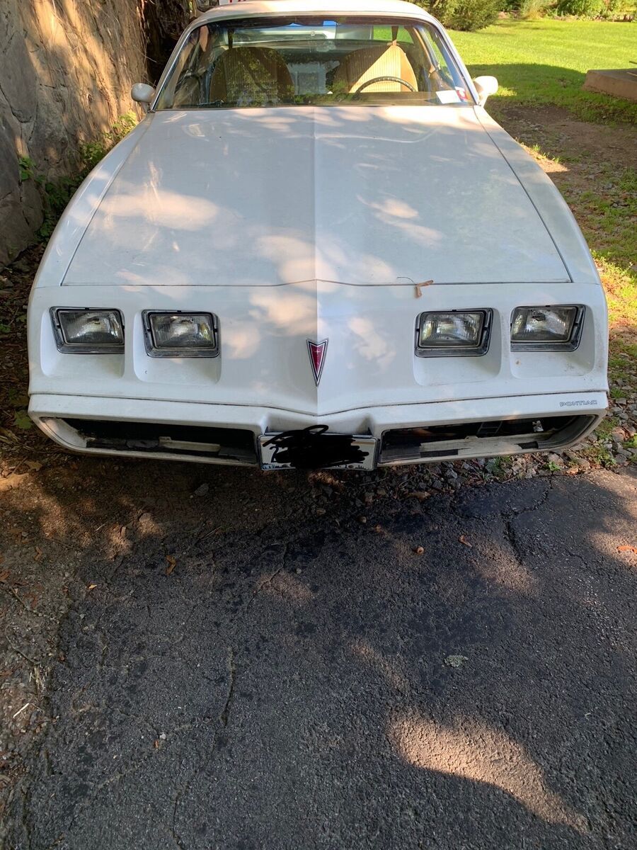 1981 Pontiac Firebird ESPRIT - photo 4