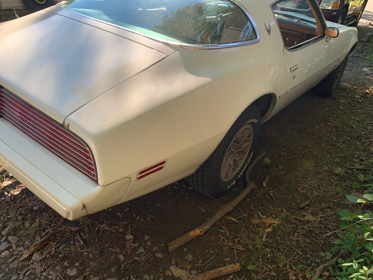 1981 Pontiac Firebird ESPRIT - photo 8