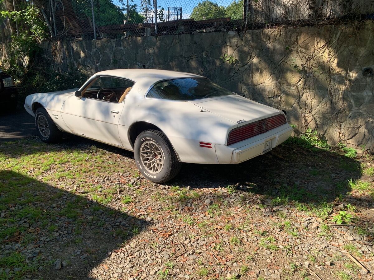 1981 Pontiac Firebird ESPRIT - photo 9