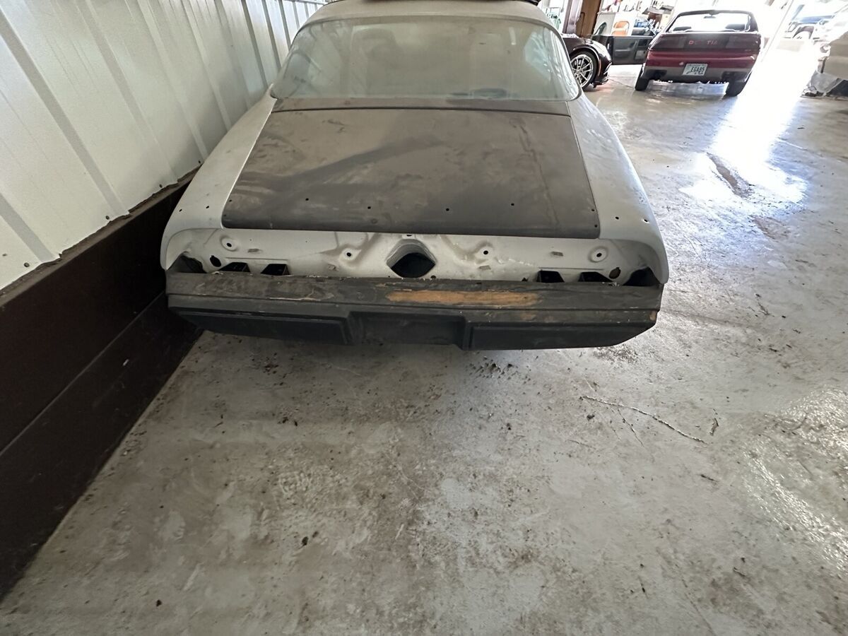 1981 Pontiac Firebird SE - photo 4