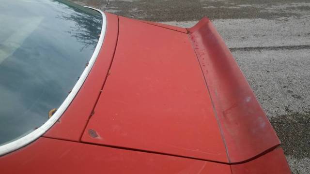 1981 Pontiac Firebird base - photo 10
