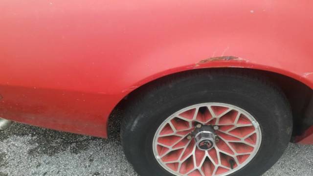 1981 Pontiac Firebird base - photo 12