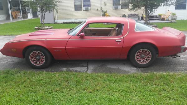 1981 Pontiac Firebird base - photo 4