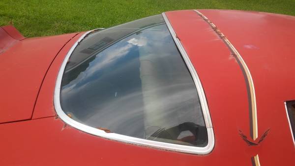 1981 Pontiac Firebird base - photo 8