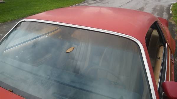 1981 Pontiac Firebird base - photo 9