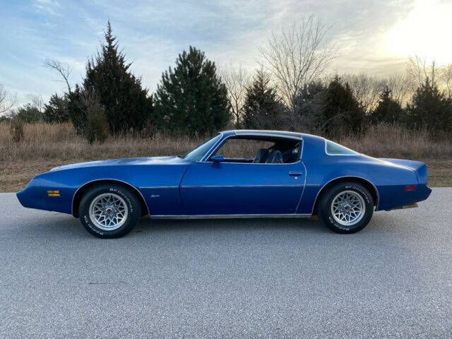 1981 Pontiac Firebird Esprit, 231ci - V6, Automatic, T-Tops, Blue - photo 9