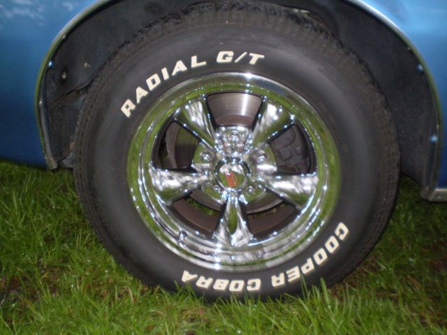 1981 Pontiac Firebird - photo 5
