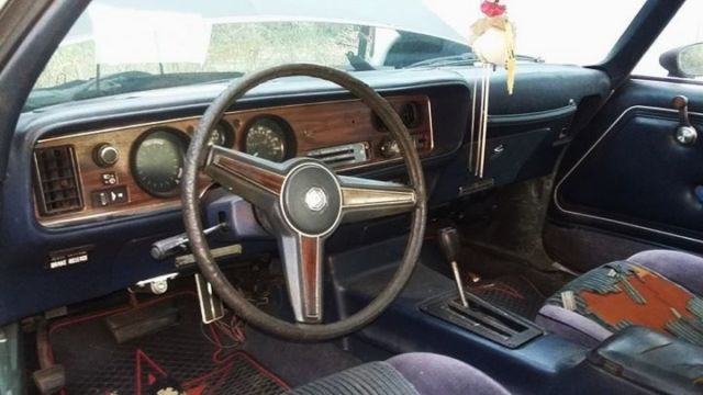 1981 Pontiac Firebird Esprit Coupe 2-Door - photo 4