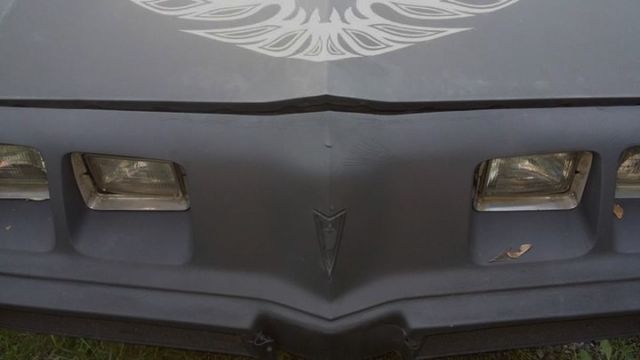 1981 Pontiac Firebird Esprit Coupe 2-Door - photo 6