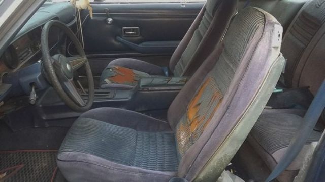 1981 Pontiac Firebird Esprit Coupe 2-Door - photo 8