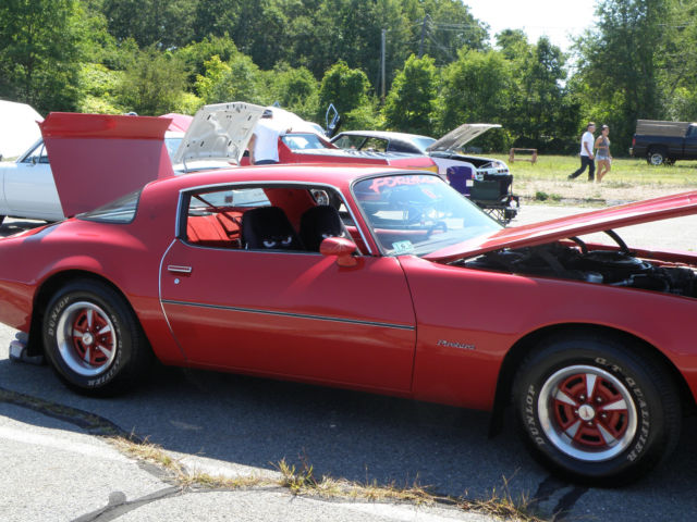 1981 Pontiac Firebird Formula - photo 3