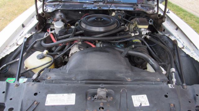 1981 Pontiac Firebird Formula WS6 - photo 8