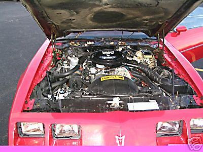 1981 Pontiac Firebird Formula - photo 5