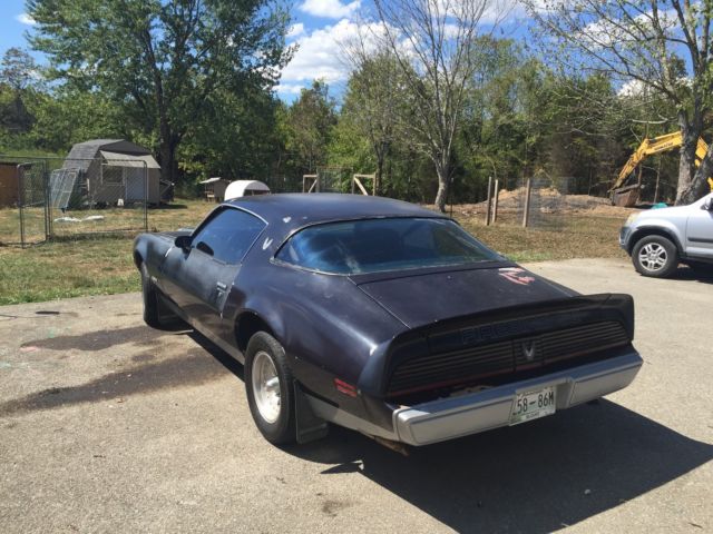 1981 Pontiac Firebird Formula Coupe 2-Door - photo 8