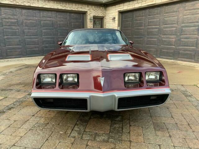 1981 Pontiac Firebird Formula - 305/4 Speed - photo 2