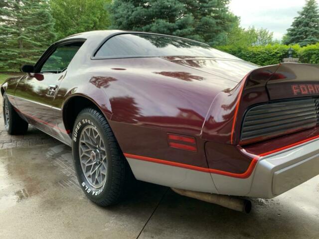 1981 Pontiac Firebird Formula - 305/4 Speed - photo 9
