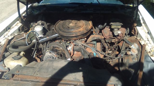 1981 Pontiac Firebird - photo 10