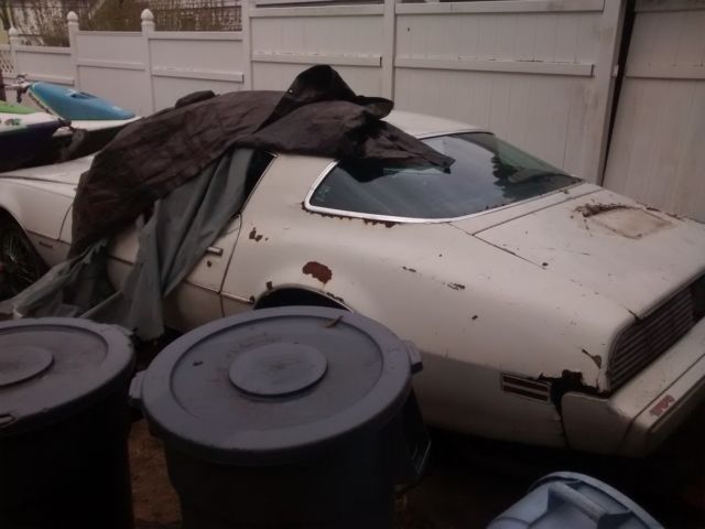 1981 Pontiac Firebird - photo 11