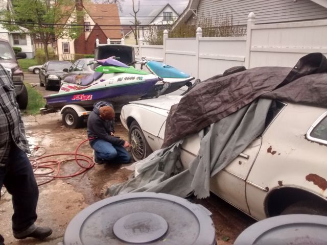 1981 Pontiac Firebird - photo 12