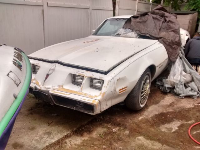 1981 Pontiac Firebird - photo 13