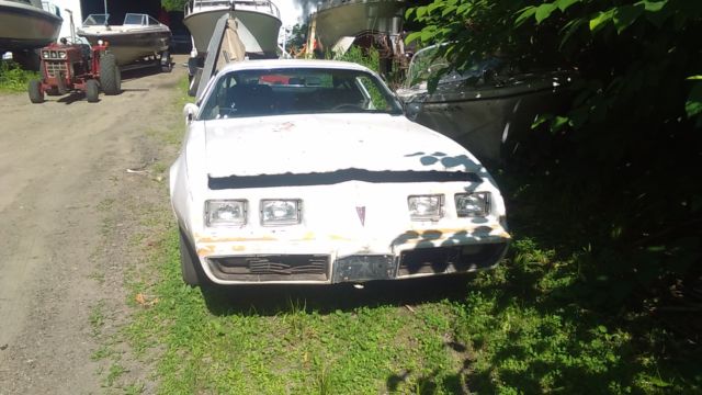 1981 Pontiac Firebird - photo 2