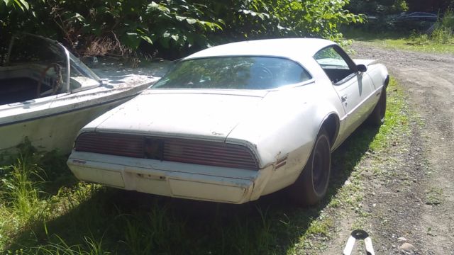 1981 Pontiac Firebird - photo 3