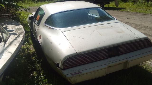 1981 Pontiac Firebird - photo 4