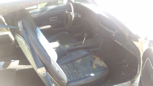 1981 Pontiac Firebird - photo 5