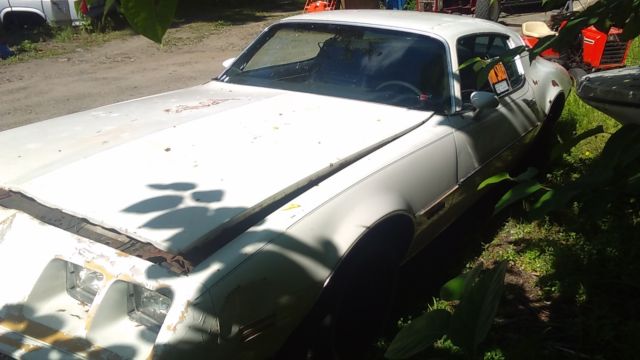 1981 Pontiac Firebird - photo 9