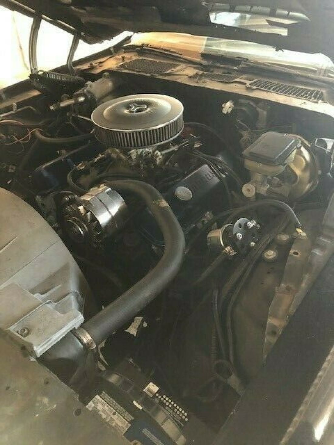 1981 Pontiac Trans Am TRANS AM - photo 10