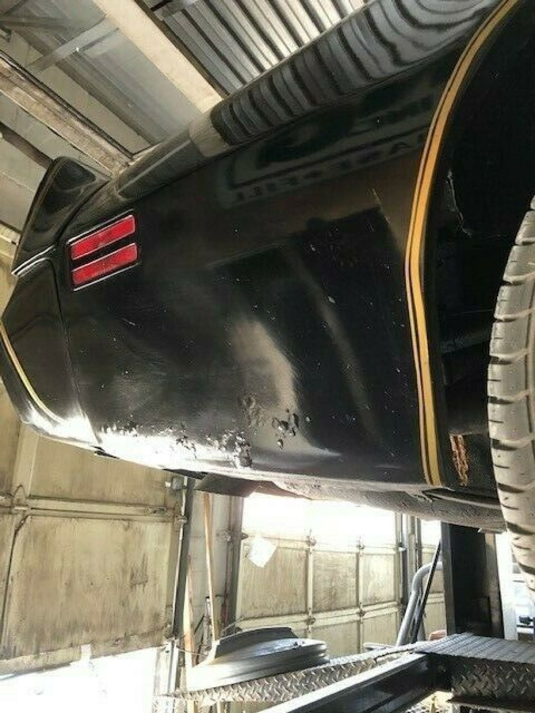 1981 Pontiac Trans Am TRANS AM - photo 12