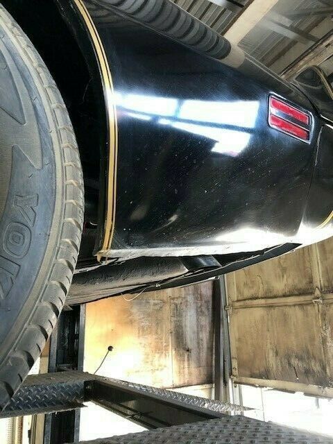 1981 Pontiac Trans Am TRANS AM - photo 13