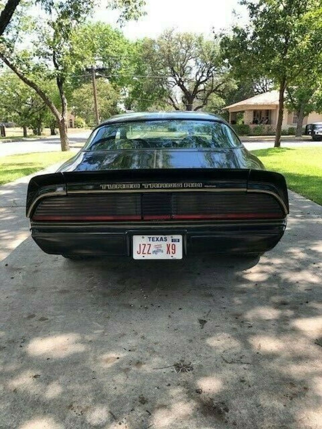 1981 Pontiac Trans Am TRANS AM - photo 5