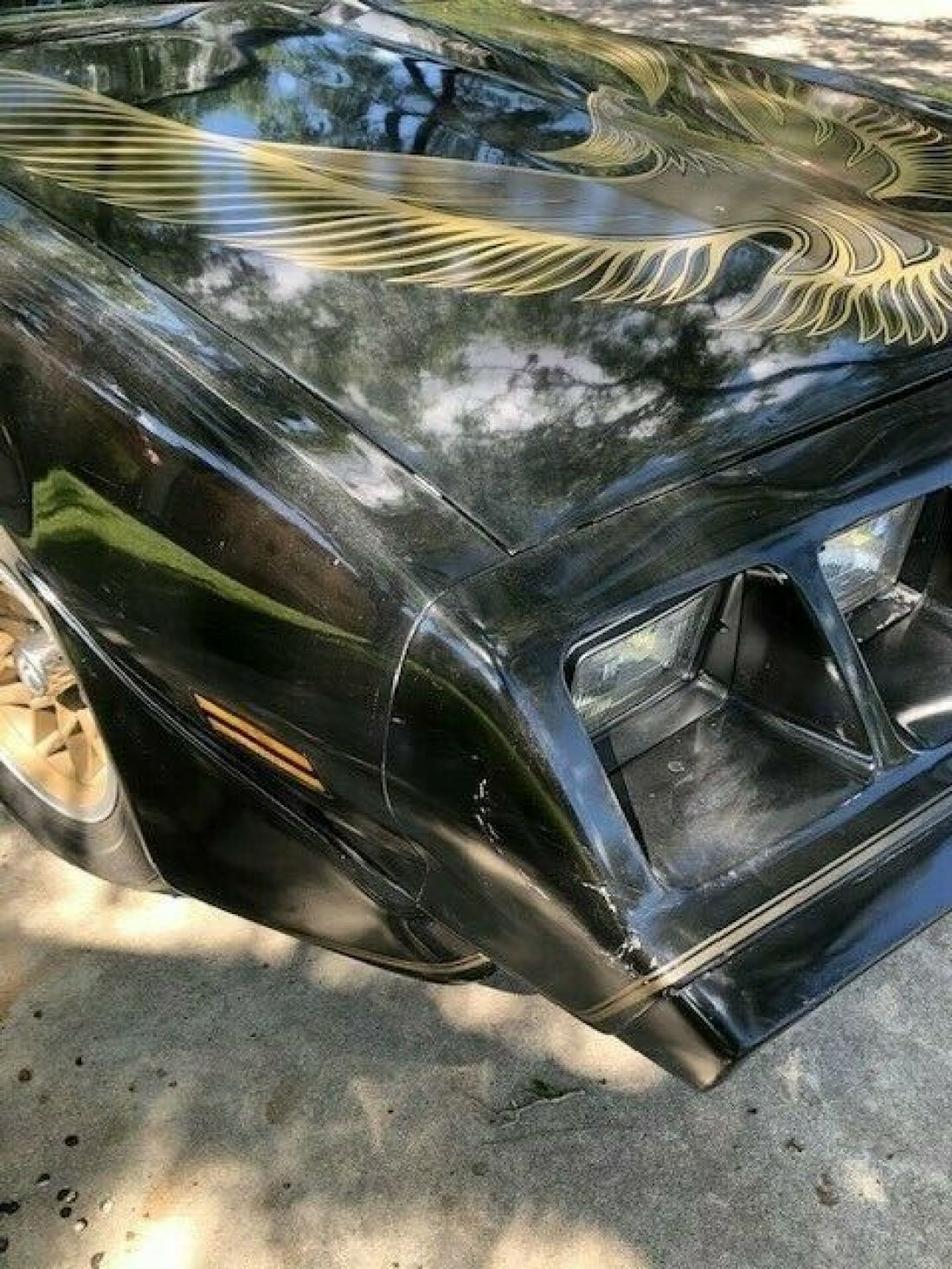 1981 Pontiac Trans Am TRANS AM - photo 7